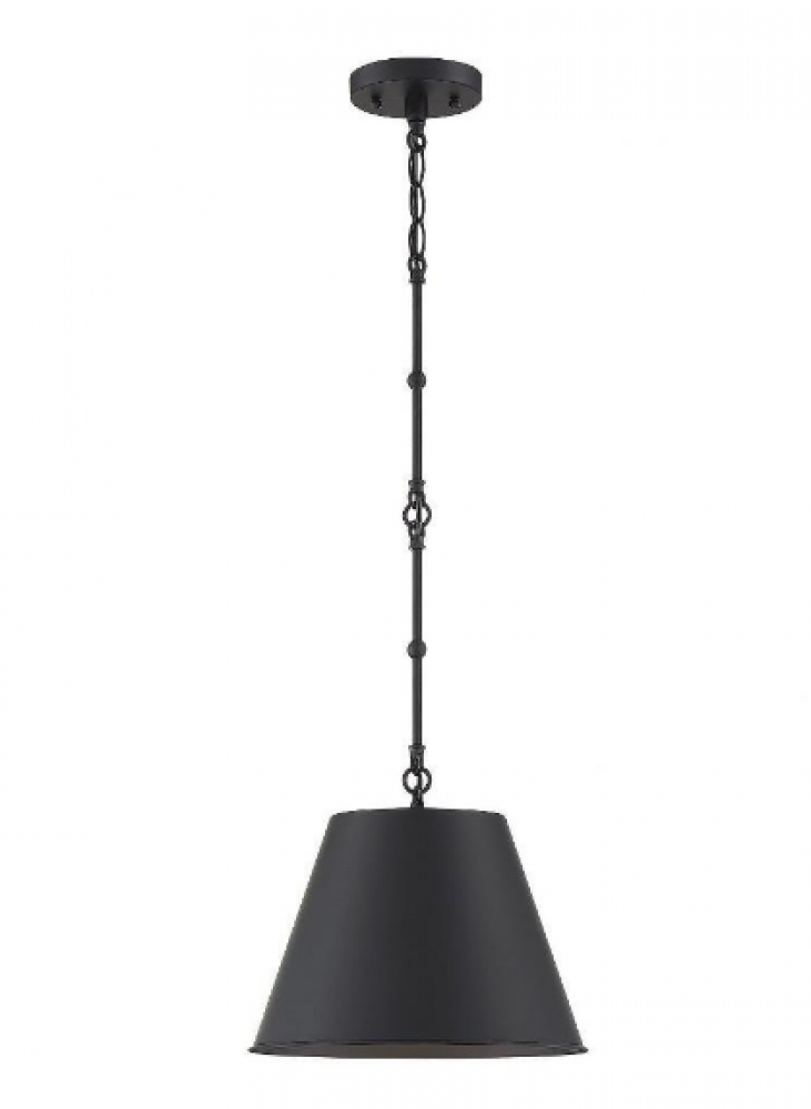 Alden 1-Light Pendant in Matte Black