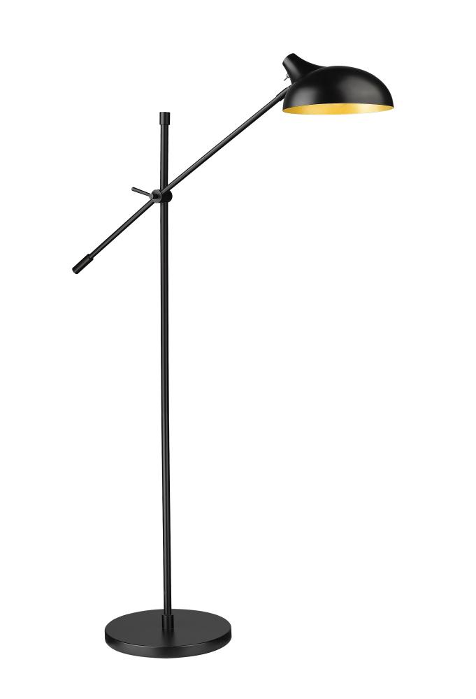 1 Light Floor Lamp