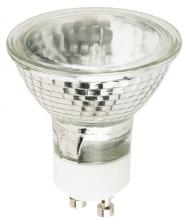 Flood Bulbs