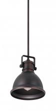 Capital 4431BB - 1 Light Pendant