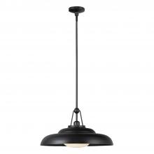 Alora Lighting PD344020UBGO - Palmetto 20-in Urban Bronze/Glossy Opal 1 Light Pendant