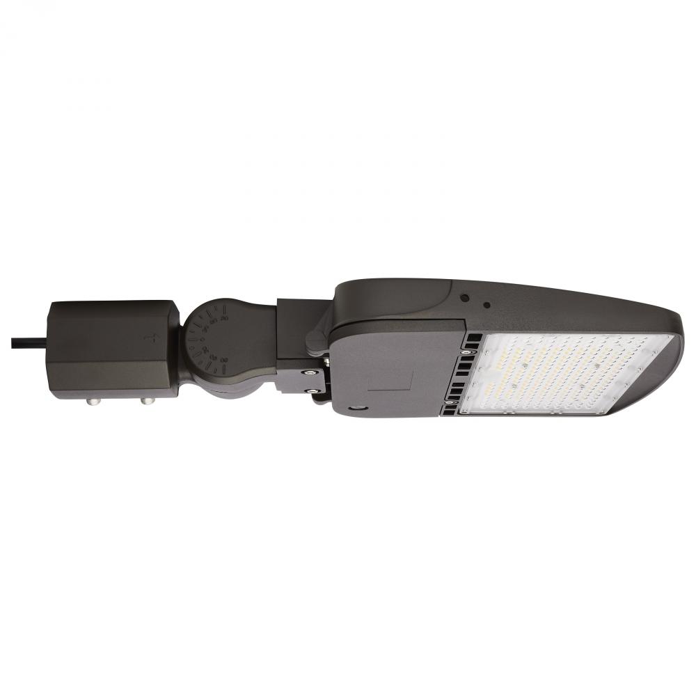 LED Area Light Type IV; 100W; Bronze Finish; 4000K; 120-277V